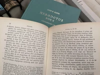 Herodot ausgeschlagen II