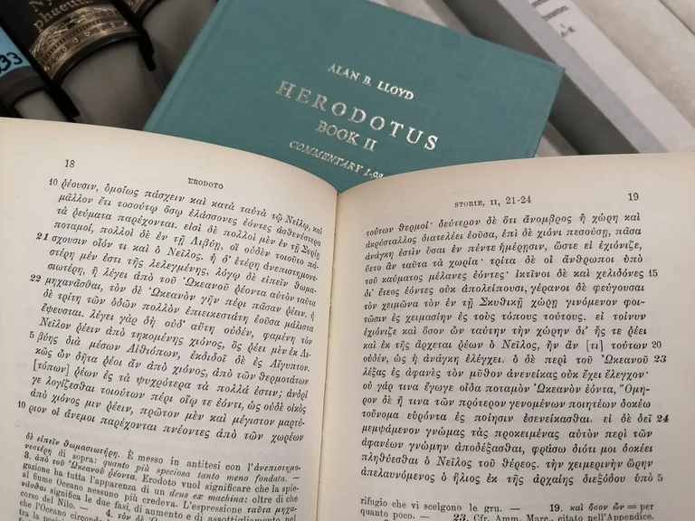 Herodot ausgeschlagen II